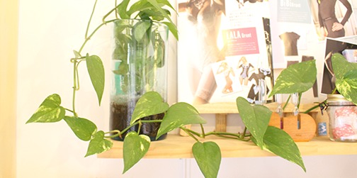 ライズ久米川治療室